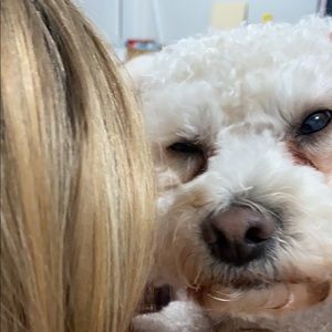 Meet your Posher, Sandy